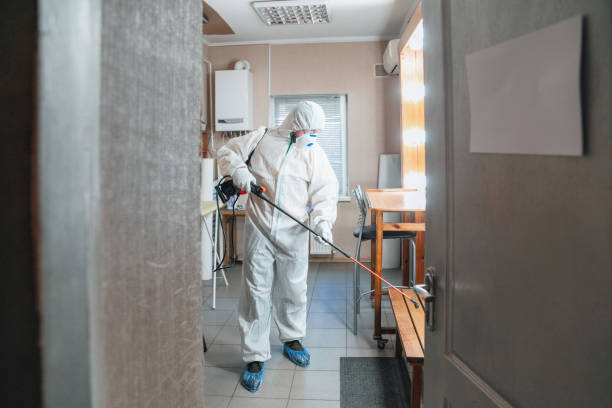 Trusted Albemarle, NC Mold Removal Experts