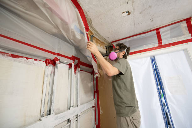 Best Forensic Mold Investigation  in Albemarle, NC