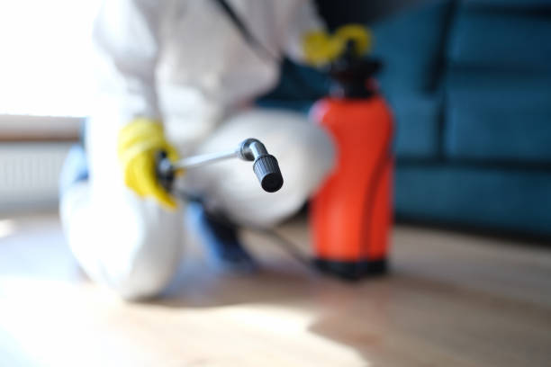 Forensic Mold Investigation in Albemarle, NC