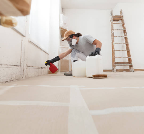 Mold Odor Removal Services in Albemarle, NC